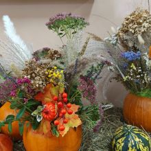 Dzień o Dyni w Bajkowej Akademii