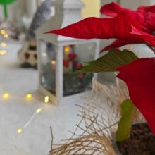 597383855 820620810812663 n