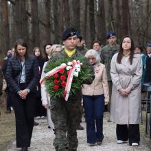 654822263 26195156590127062 n