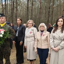 657711031 26195155563460498 n