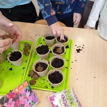 653066269 894839063390837 n